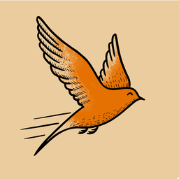 Fleeting app icon